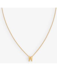 Astrid \u0026 Miyu Necklaces for Women 