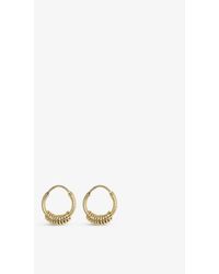 Anna + Nina Multi-ring 14ct Yellow Gold-plated Sterling-silver Hoop Earrings - Metallic