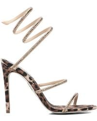 Rene Caovilla - Leopard Printed Embellished Sandals - Lyst