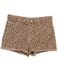 Twinset - Animal-Print Belted Shorts - Lyst