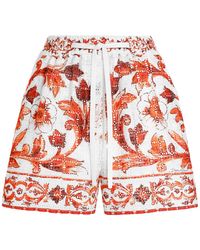 Dolce & Gabbana - Majolica-Print Broderie Anglaise Lace Shorts - Lyst
