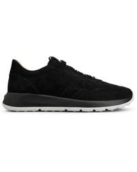 Tod's - Dot Sneakers - Lyst