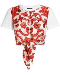 Dolce & Gabbana - Majolica Tie-Front Crop T-Shirt - Lyst