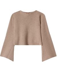 Altuzarra - Trip Cropped Ribbed Merino Wool And Cashmere-Blend Sweater - Lyst