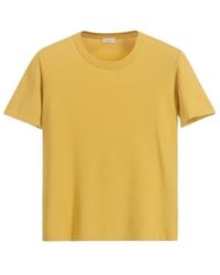 Roberto Collina - T-Shirt - Lyst