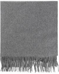 Max Mara - Fringed Logo-Embroidered Scarf - Lyst