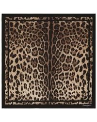 Dolce & Gabbana - Leopard Printed Scarf - Lyst