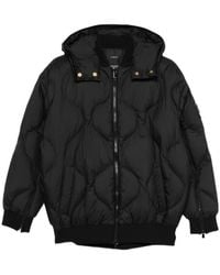 Pinko - Padded Bomber Jacket With Hood - Lyst
