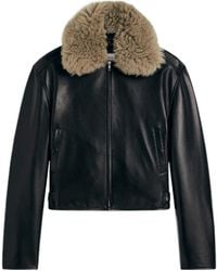 Phoebe Philo - Cropped Leather Bomber Jacket - Lyst