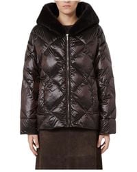 Max Mara - Long-Sleeve Hooded Padded Jacket - Lyst