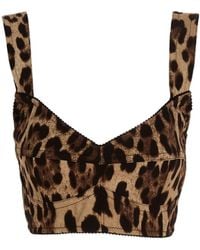 Dolce & Gabbana - Leopard Printed Cropped Bustier Top - Lyst