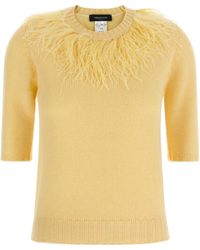 Fabiana Filippi - Feather-Trim Short-Sleeve Knitted Jumper - Lyst