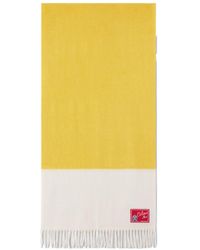 Celine - Bicolor Cashmere Scarf - Lyst