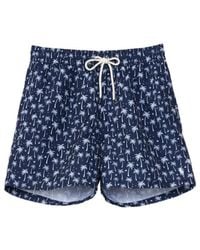 Polo Ralph Lauren - Palm Tree-Print Drawstring Swim Shorts - Lyst