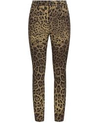 Dolce & Gabbana - Leopard Print Slim-Fit Jeans - Lyst