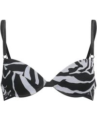 Dolce & Gabbana - Zebra Print Push-Up Bra - Lyst