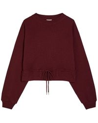 Dries Van Noten - Hasterfiela Drawstring Cotton Sweatshirt - Lyst