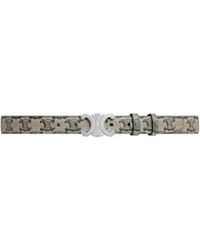 Celine - Medium 25Mm Triomphe Belt - Lyst