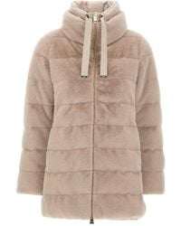 Herno - High-Neck Puffer Jacket - Lyst