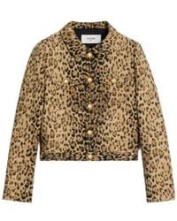 Celine - Trucker Jacket - Lyst