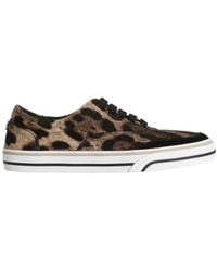 Dolce & Gabbana - Leopard Printed Dg Sailing Sneakers - Lyst