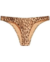 Zimmermann - Leopard-Print Bikini Briefs - Lyst