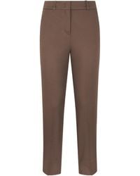 Peserico - Straight Cotton Pants - Lyst