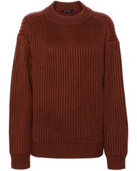 Sofie D'Hoore - Rib Sweater - Lyst