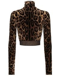 Dolce & Gabbana - Leopard Jacquard Chenille Turtle-Neck Top - Lyst