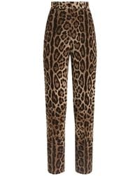 Dolce & Gabbana - Leo-Print Wool Trousers - Lyst