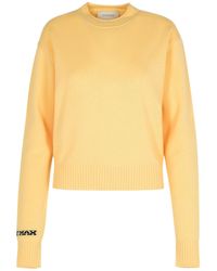 Sportmax - Agadir 1234 Crewneck Long-Sleeved Jumper - Lyst