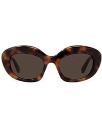 Loewe - Curvy Cat-Eye Frame Sunglasses - Lyst