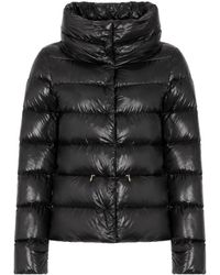 Herno - Short Down Jacket - Lyst
