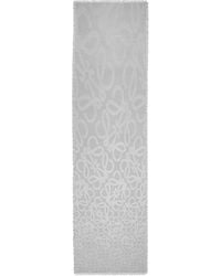 Loewe - Scarf - Lyst