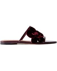 Zimmermann - Flower-Decorated Slippers - Lyst