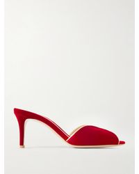 Gianvito Rossi - 70 Leather-Trimmed Velvet Mules - Lyst