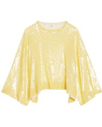 Celine - Embroidered Crop Top - Lyst
