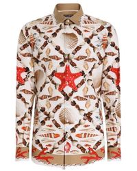 Dolce & Gabbana - Shell-Print Martini Shirt - Lyst