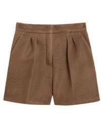 Max Mara - Technical Mesh Shorts - Lyst