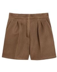 Max Mara - Technical Mesh Shorts - Lyst