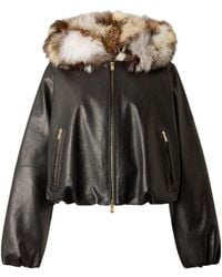 Moose Knuckles - Cardin Fur Leather Jacket - Lyst