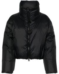 Canada Goose - Spessa Down Puff Jacket - Lyst