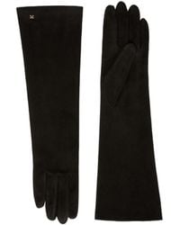 Max Mara - Afideesuede Logo Plaque Gloves - Lyst