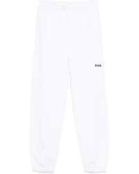 MSGM - Cotton Track Pants - Lyst
