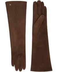 Max Mara - Afideesuede Logo Plaque Gloves - Lyst