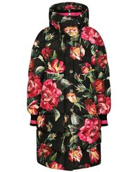 Dolce & Gabbana - Floral-Printed High-Neck Long Coat - Lyst
