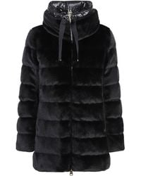 Herno - Anthracite Drawstring Padded Jacket - Lyst