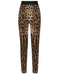 Dolce & Gabbana - Leopard-Print Charmeuse Leggings - Lyst
