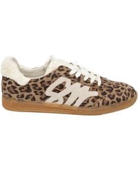 Steve Madden - Elora Low-Top Trainers - Lyst