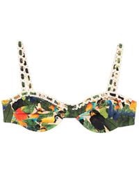 FARM Rio - Bird-Print Bikini Top - Lyst